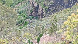 GC-Mirador Pico de Bandama 2026-26.jpg